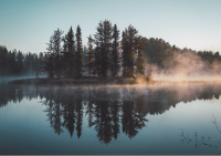 juan davila p8plk2ngwqa unsplash 1