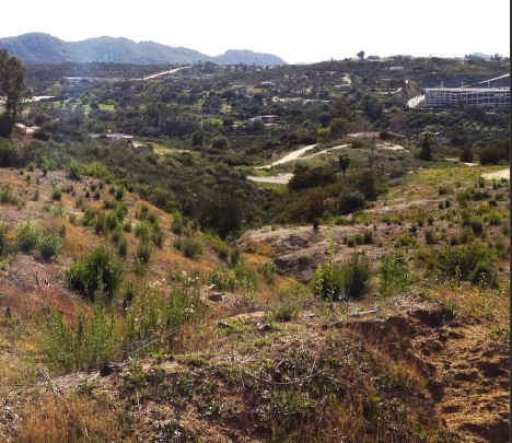 U.S. Mexico Border Needs Assessment and Support Project: Phase II Assessment Report