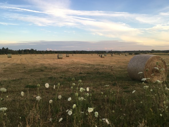 RCAP & AWWA’s Small Systems Field Assessment Checklist