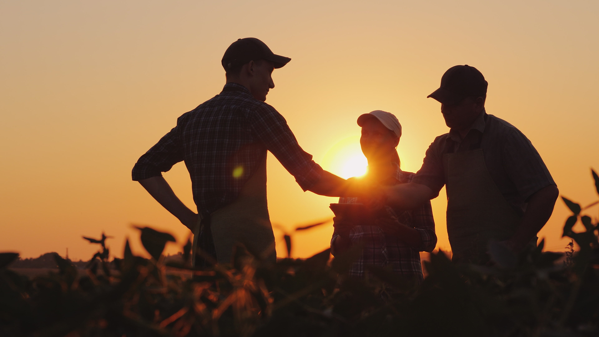 A group of farmers in the field shaking hands Family Agribusiness