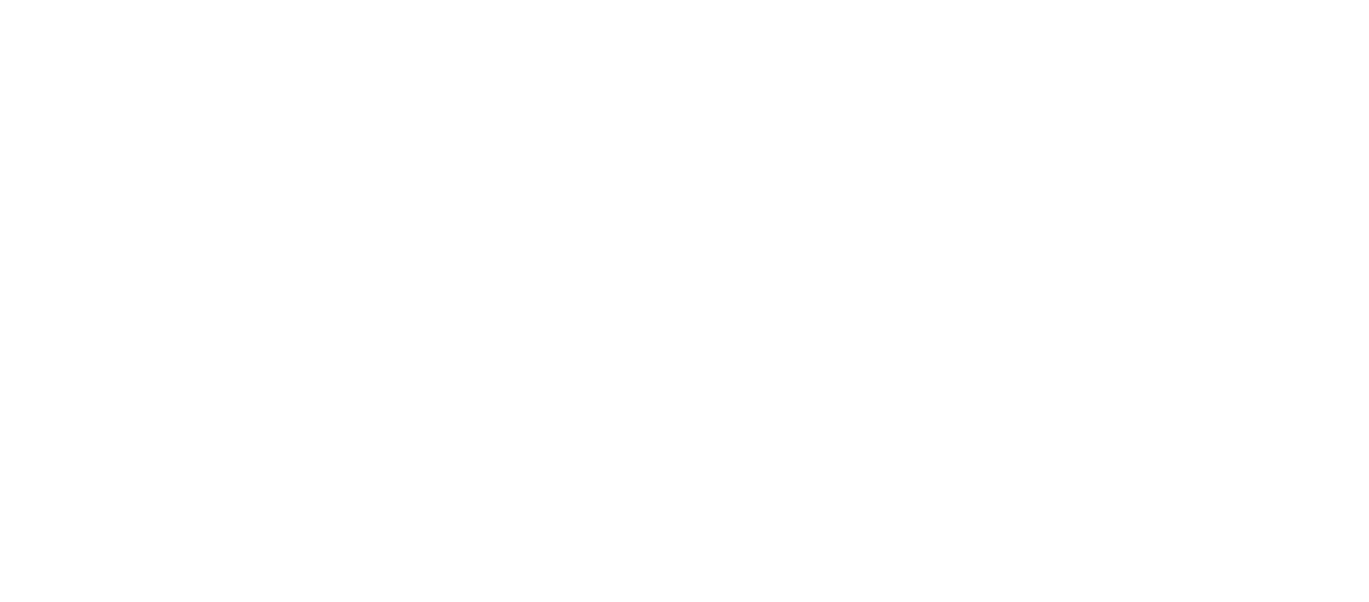 rcap solutions 2