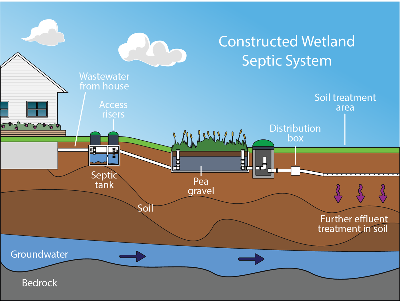 How Our Wetland Septic System Operates!